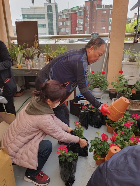 치매예방을 위한 원예치료 및 정리수납 봉사치매예방을 위한 원예치료 2차 사업에서 참여자들이 원예를 화분과 비닐봉투에 옮겨 담고있는 현장 모습