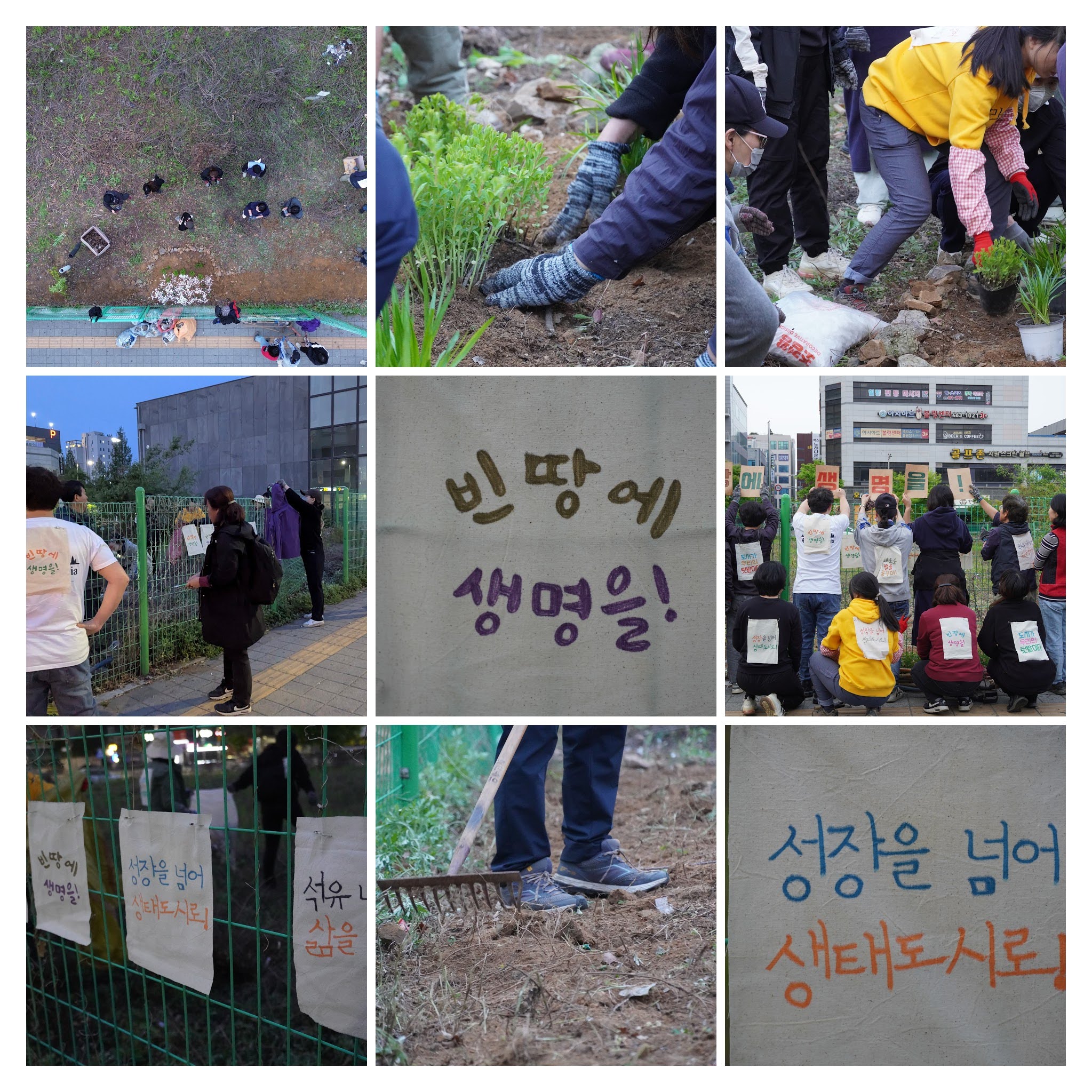 게시글: 게릴라 가드닝  1  이미지